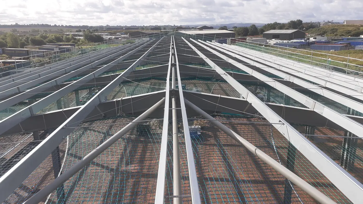 Roof purlins across the steel frame